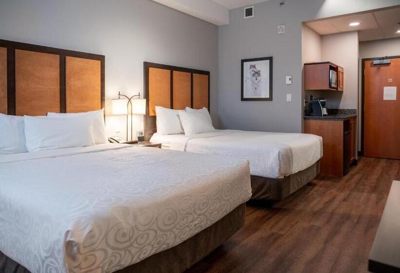 스탠다드 룸, Pocaterra Inn & Waterslide