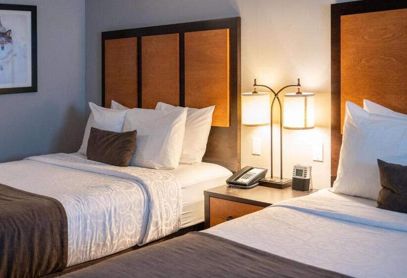 수피리어 룸, Pocaterra Inn & Waterslide