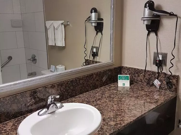 スーペリアールーム, Quality Inn Downtown Inner Harbour