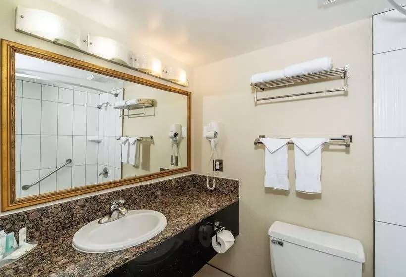 スーペリアールーム, Quality Inn Downtown Inner Harbour