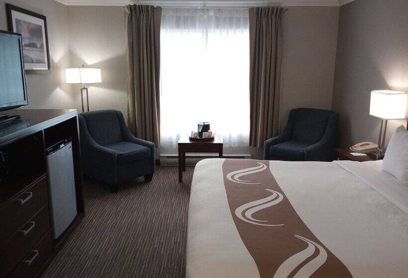 スーペリアールーム, Quality Inn Downtown Inner Harbour