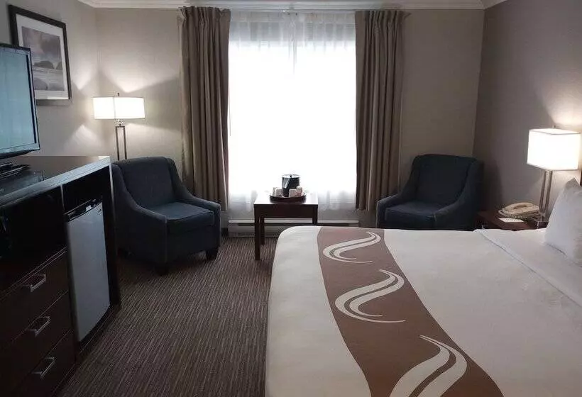 スーペリアールーム, Quality Inn Downtown Inner Harbour