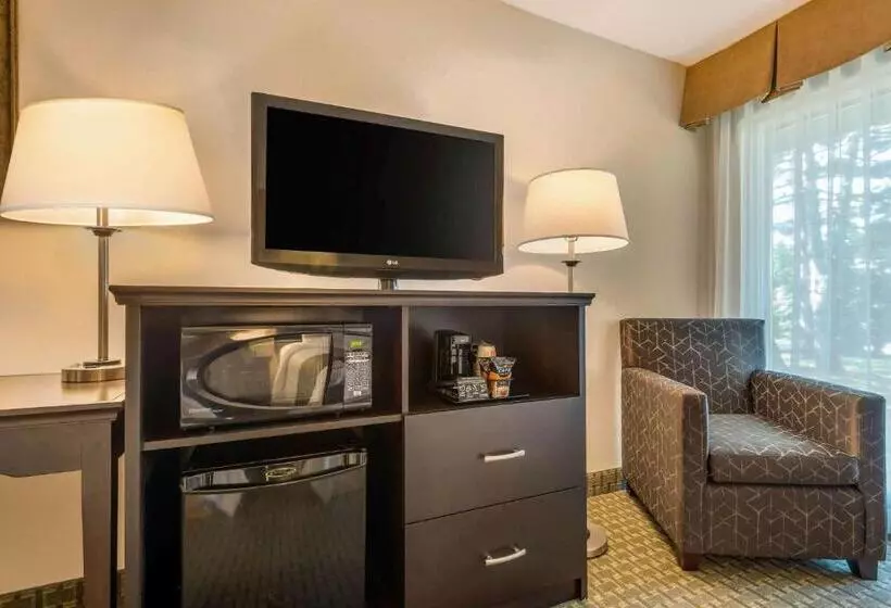 اتاق استاندارد, Quality Inn & Suites