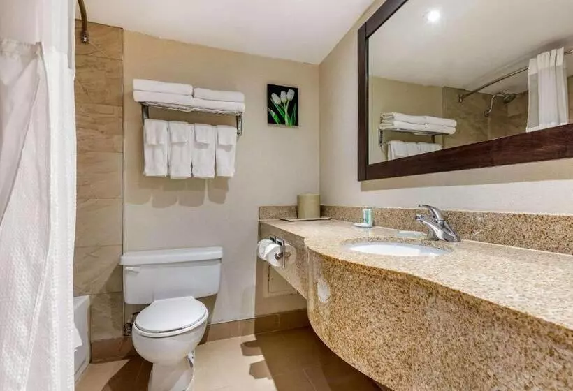 اتاق استاندارد, Quality Inn & Suites