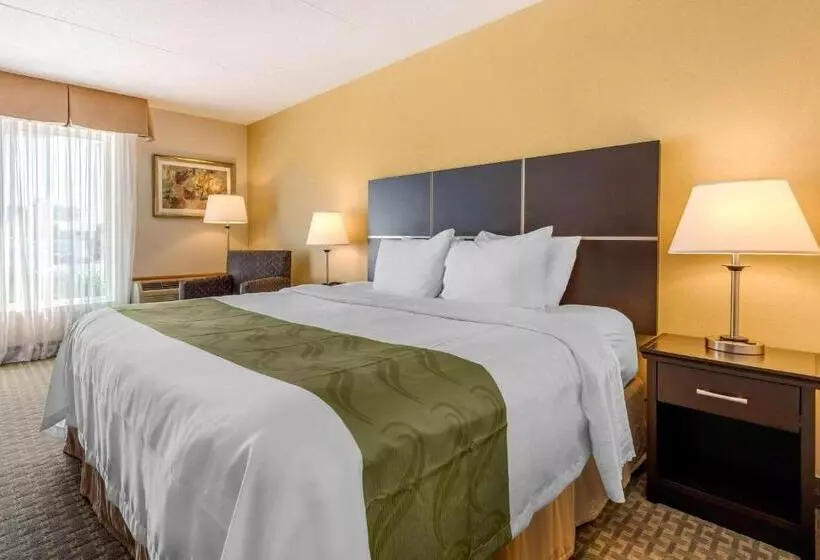 اتاق استاندارد با تخت بزرگ, Quality Inn & Suites