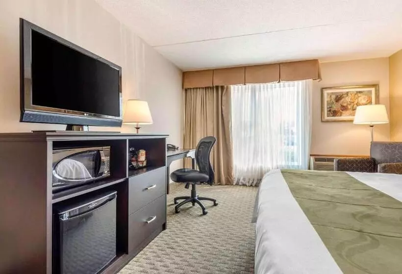 اتاق استاندارد با تخت بزرگ, Quality Inn & Suites