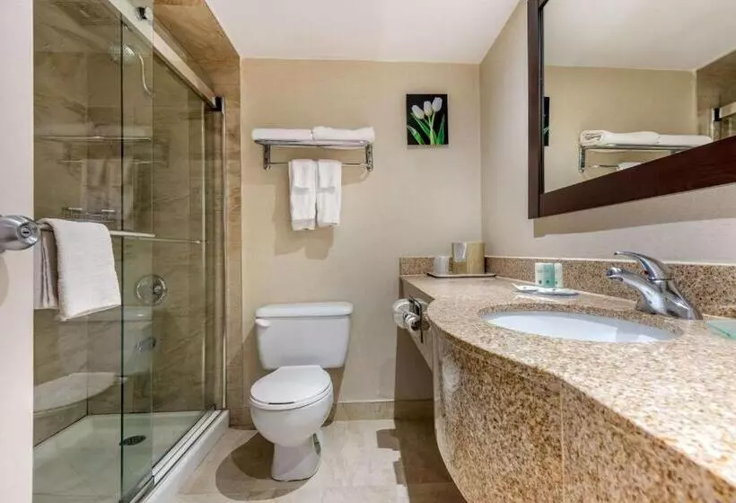 اتاق استاندارد با تخت بزرگ, Quality Inn & Suites