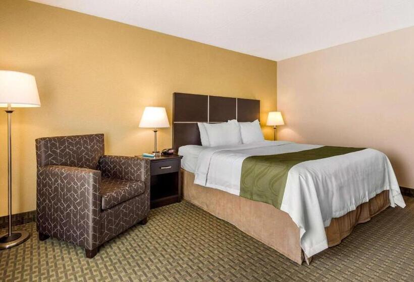 스탠다드 룸 킹사이즈 침대, Quality Inn & Suites