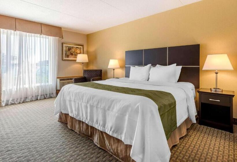 스탠다드 룸 킹사이즈 침대, Quality Inn & Suites