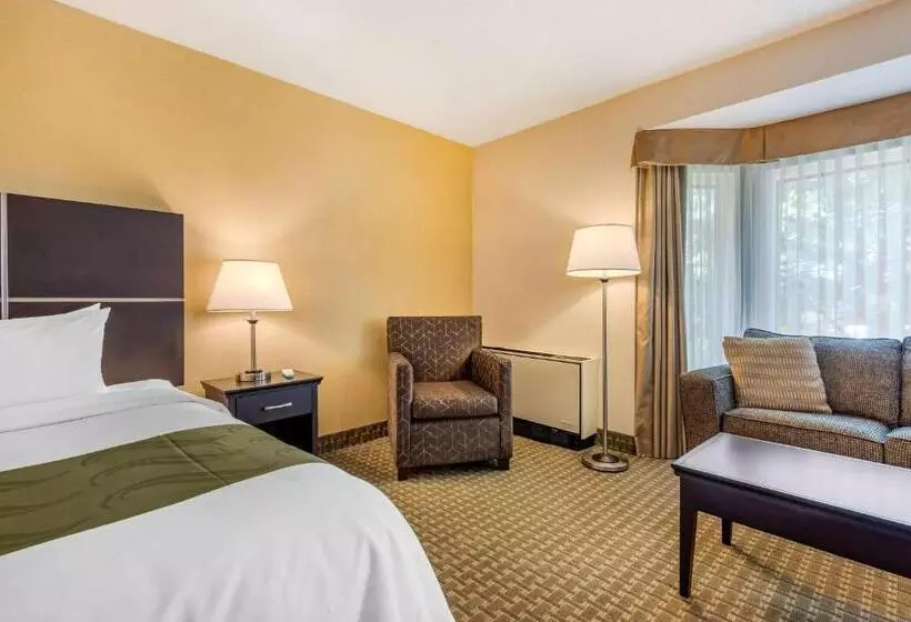 سوئیت با تخت بزرگ, Quality Inn & Suites