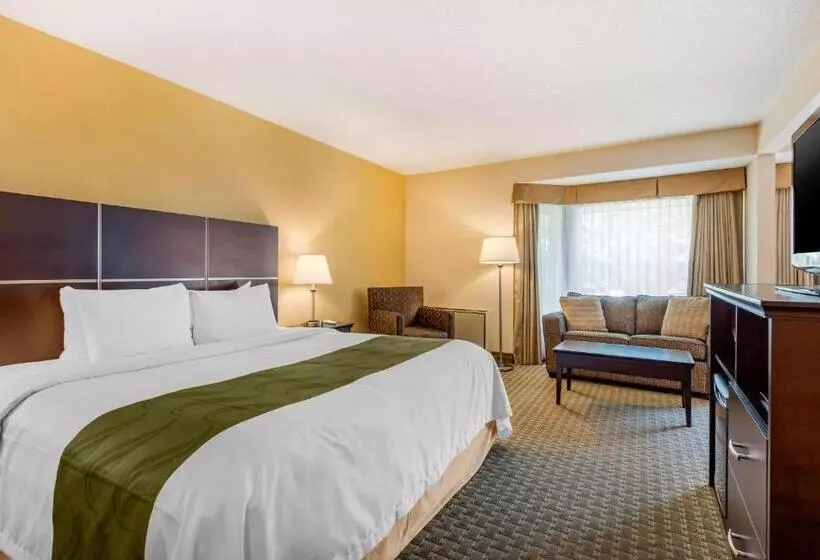 سوئیت با تخت بزرگ, Quality Inn & Suites