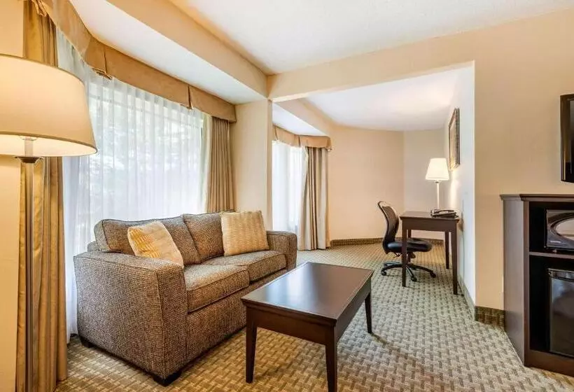سوئیت با تخت بزرگ, Quality Inn & Suites