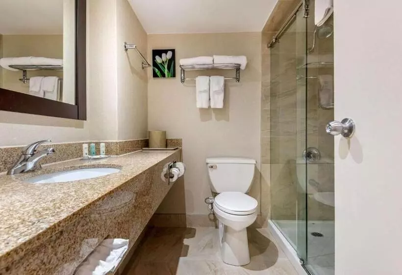 سوئیت با تخت بزرگ, Quality Inn & Suites