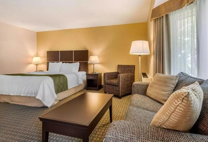 سوئیت با تخت بزرگ, Quality Inn & Suites