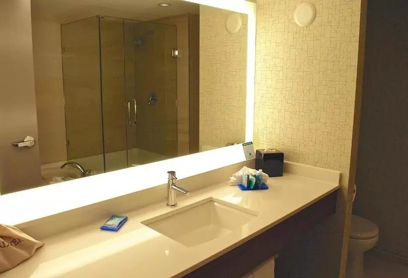 キングサイズベッドのスタンダードルーム, Holiday Inn Express Vancouver Airport Richmond, An Ihg