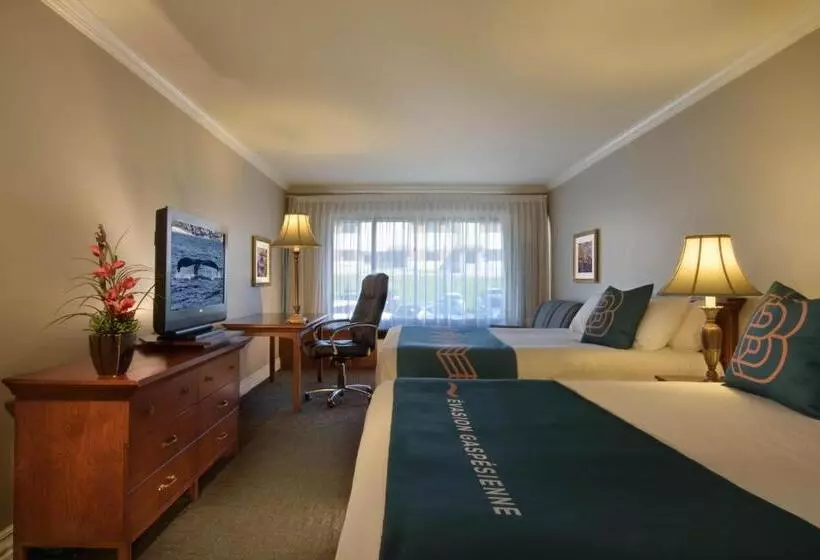 Deluxe-huone Kaupunkinäkymä, Hôtel Baker