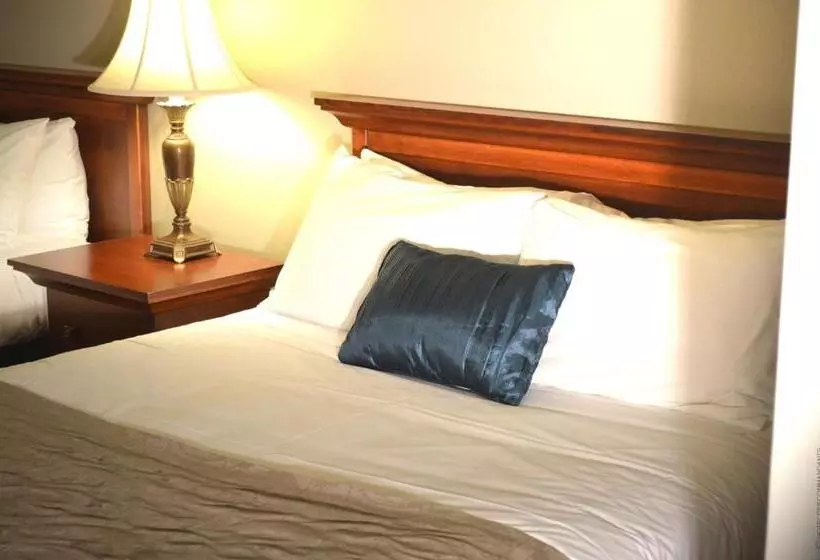 Deluxe-huone Kaupunkinäkymä, Hôtel Baker
