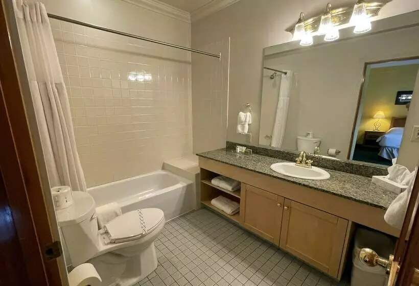 استودیوی استاندارد با تخت دوبل, Park Place Lodge