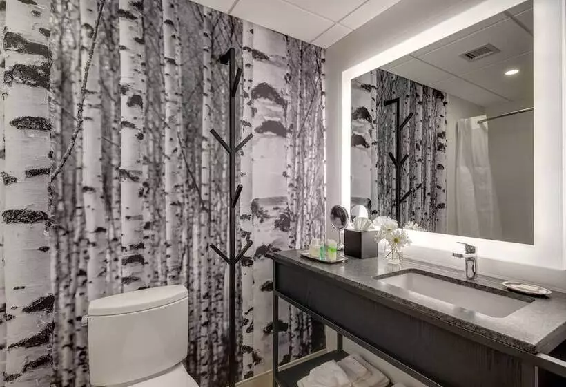 استودیوی استاندارد با تخت دو نفره بزرگ, Peaks Hotel And Suites