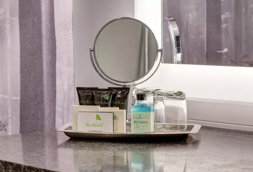 استودیوی استاندارد با تخت دوبل, Peaks Hotel And Suites