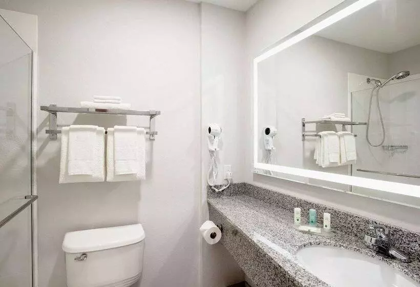 اتاق استاندارد چهار تخته, Quality Inn & Suites