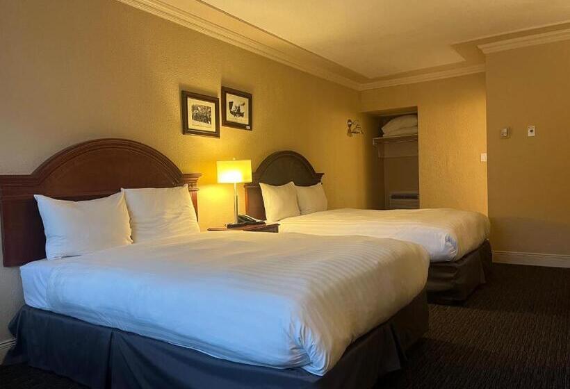 デラックスルーム, Revelstoke Lodge