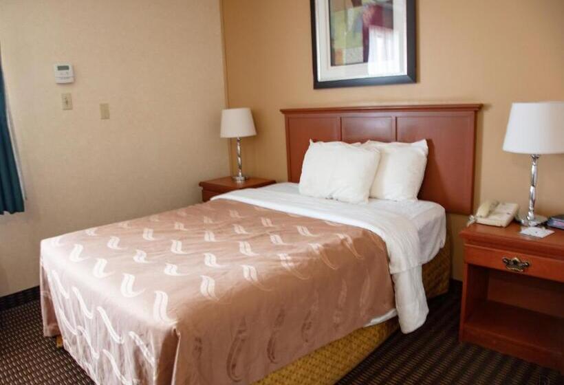 Номер Economy, All Stay Suites