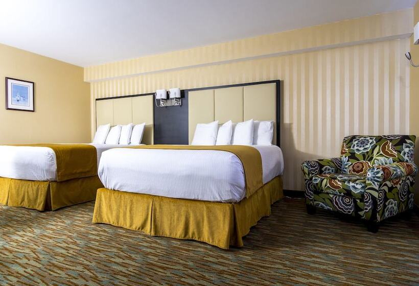 スタンダードルーム, Sinbads Hotel & Suites