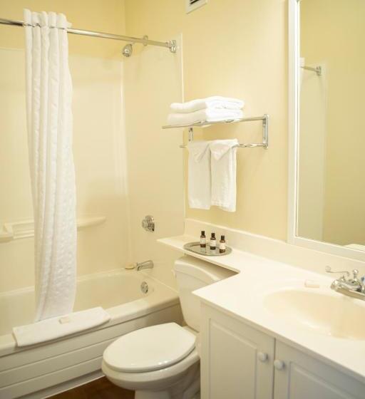 Номер Стандарт Вид на Сад, Windermere House