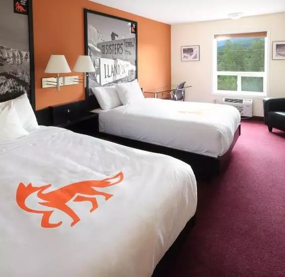 اتاق استاندارد, Fernie Fox