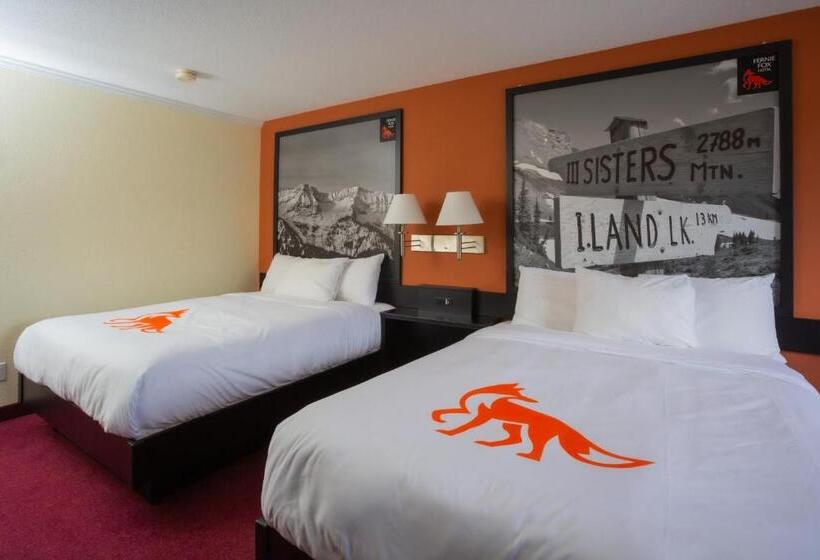 Quarto Estandar, Fernie Fox