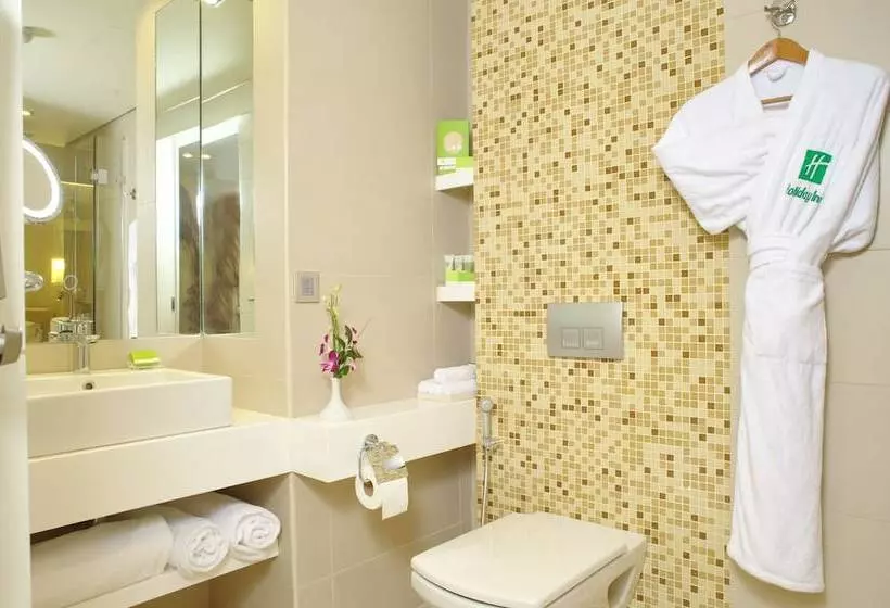 اتاق استاندارد با چشم‌انداز شهر, Holiday Inn Cairo Maadi, An Ihg