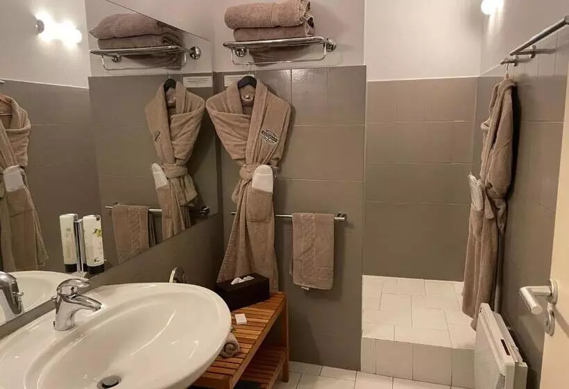 スタンダードルーム, Logis Hôtel De France & Restaurant Pamiers