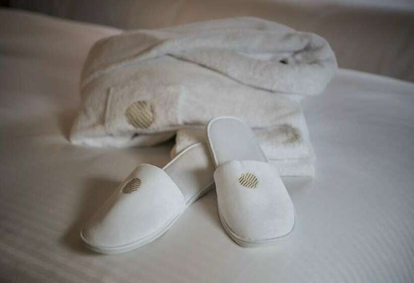 景色の見えるデラックスルーム, Pullman Paris Montparnasse