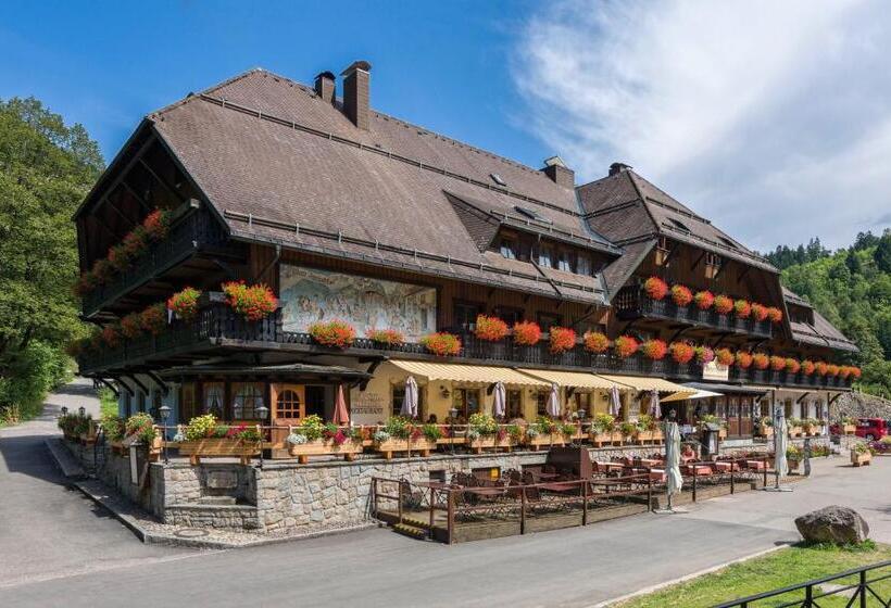 Номер Deluxe с Балконом, Hofgut Sternen