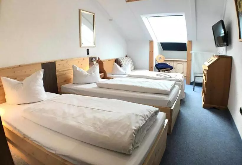 エコノミーシングルルーム, Akzent Hotel Alpenrose