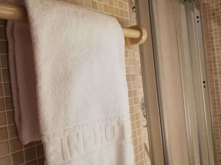 经典单人间, Leine