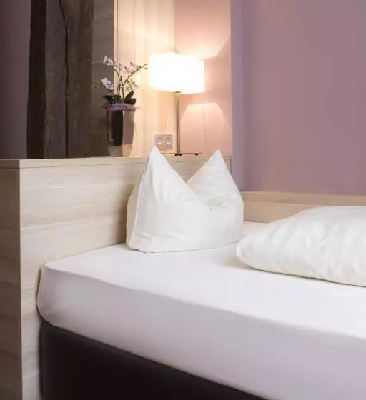 اتاق استاندارد یک نفره, Ringhotel Nassau Oranien