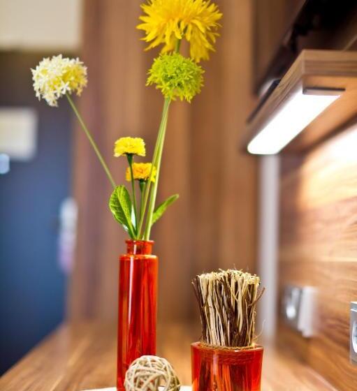 高级单人间, Wohlfühl Hotel Neu Heidelberg