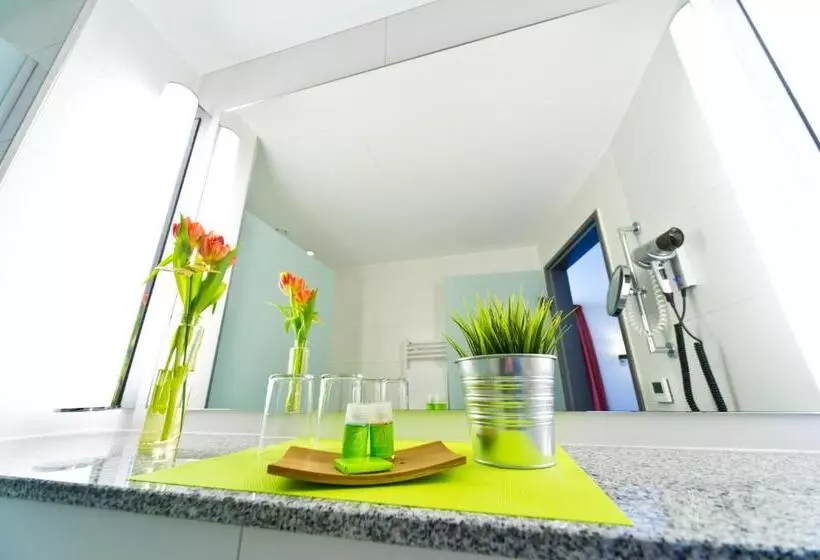 اتاق سوپریور یک تخته, Wohlfühl Hotel Neu Heidelberg