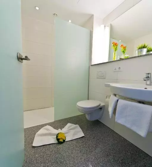 اتاق سوپریور یک تخته, Wohlfühl Hotel Neu Heidelberg