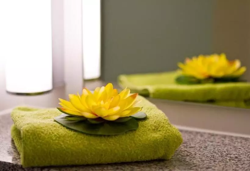 اتاق اکونومی, Wohlfühl Hotel Neu Heidelberg