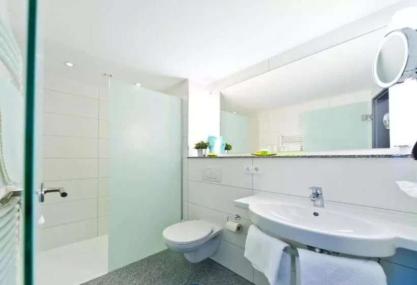 اتاق اکونومی, Wohlfühl Hotel Neu Heidelberg