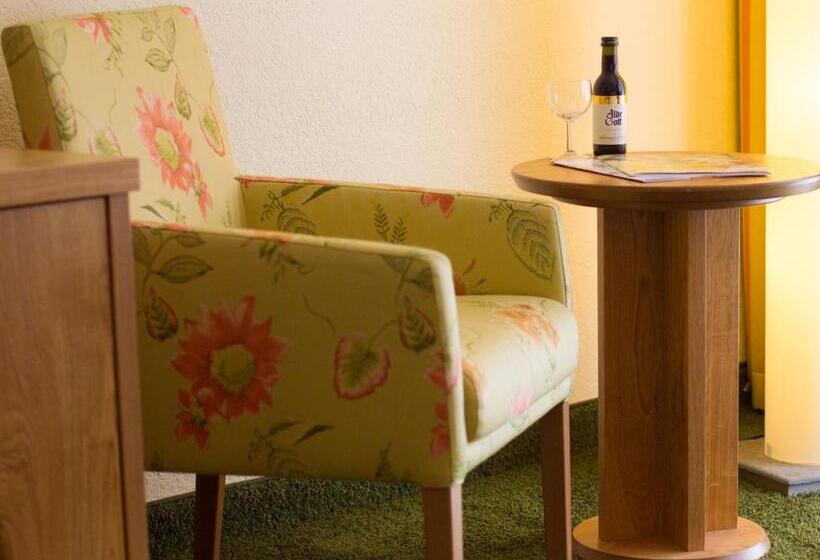 舒适型房间, Ringhotel Mönch`s Wald