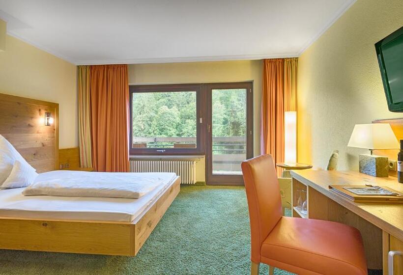 舒适型单人间, Ringhotel Mönch`s Wald