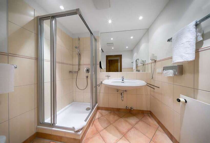 舒适型单人间, Ringhotel Mönch`s Wald