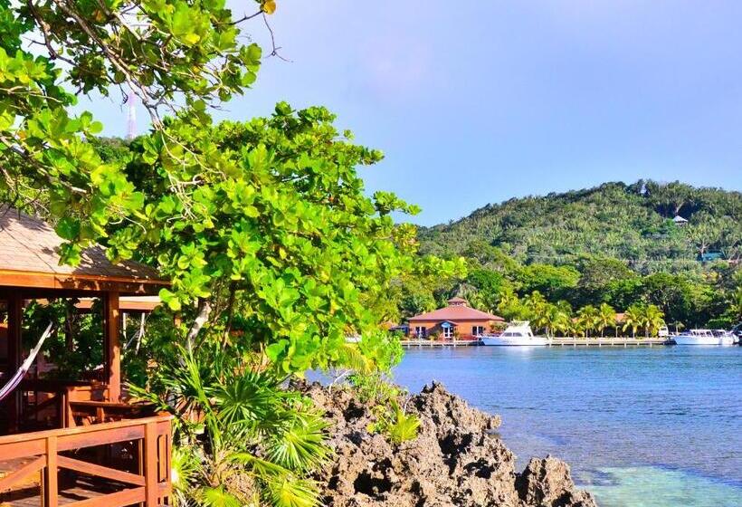 اتاق لوکس, Anthony's Key Resort