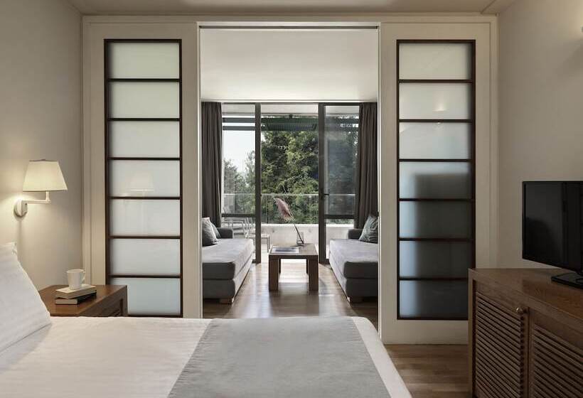 Семейный Номер Вид на Сад, Kontokali Bay Resort & Spa