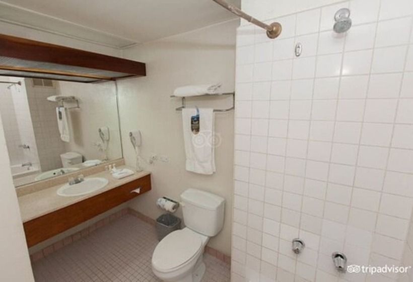 اتاق لوکس, Le Plaza