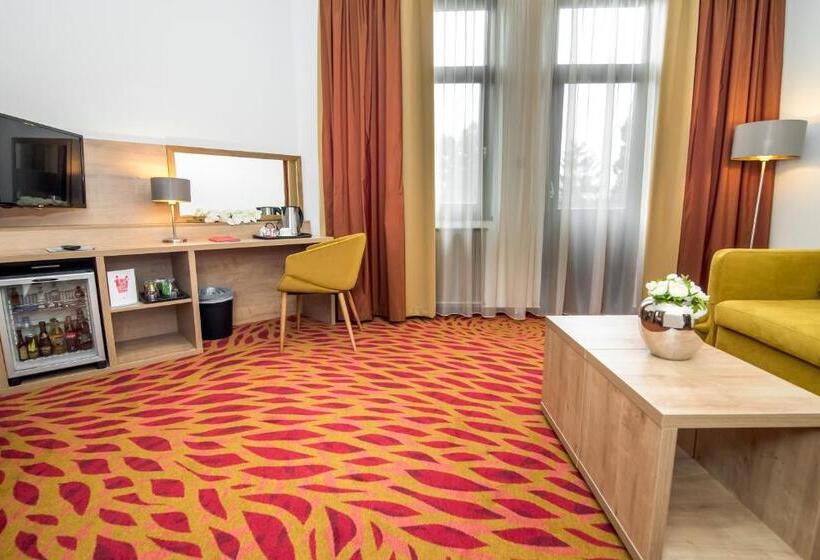 سوییت جونیور با بالکن, Rubin Wellness & Conference